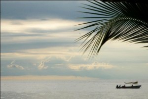 LLucas - Haitian Oceanview